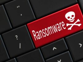We Found The Cure For Ransomware. The Dutch Government Ignored Us.